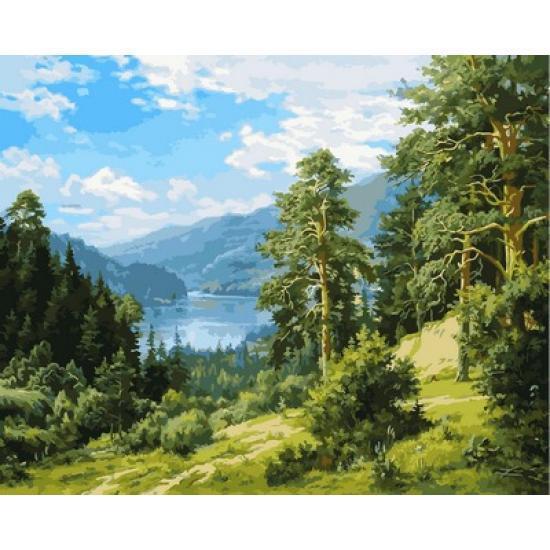 Картина по номерам Babylon Прекрасный вид на реку 40x50 см (NB848R)