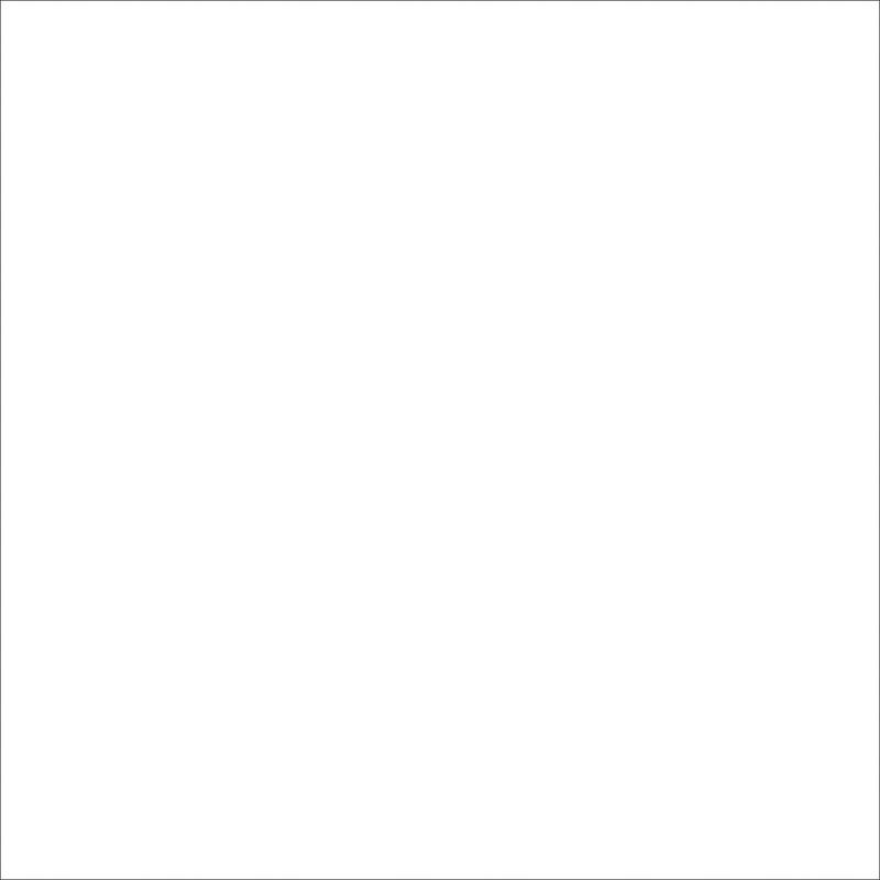 Фотофон виниловый Frontlit 450 г/м2 120x120 см №551715