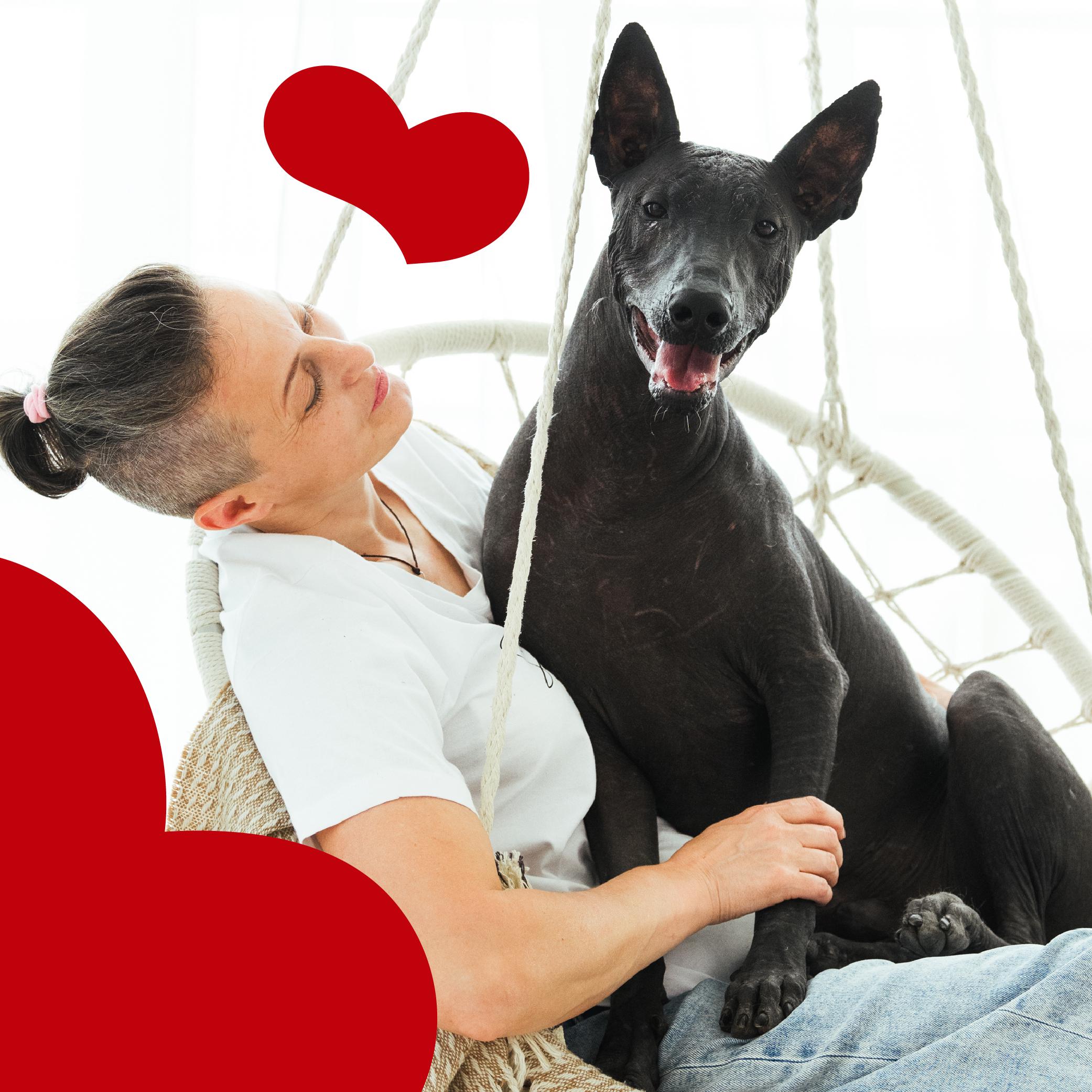 Лакомство для собак Mavsy Freeze dried PATE OSTRICH WITH CRANBERRY SAUCE паштет из страуса под клюквенным соусом от 3-х месяцев 50 г (24624879) - фото 6 Лакомство для собак Mavsy Freeze dried PATE OSTRICH WITH CRANBERRY SAUCE паштет из страуса под клюквенным соусом от 3-х месяцев 50 г (24624879) - фото 6