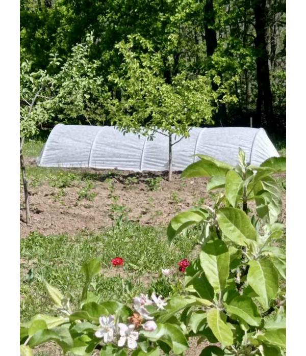 Теплица из агроволокна MAKSIAGRO 4м 50/м2 - фото 8 Теплица из агроволокна MAKSIAGRO 4м 50/м2 - фото 8