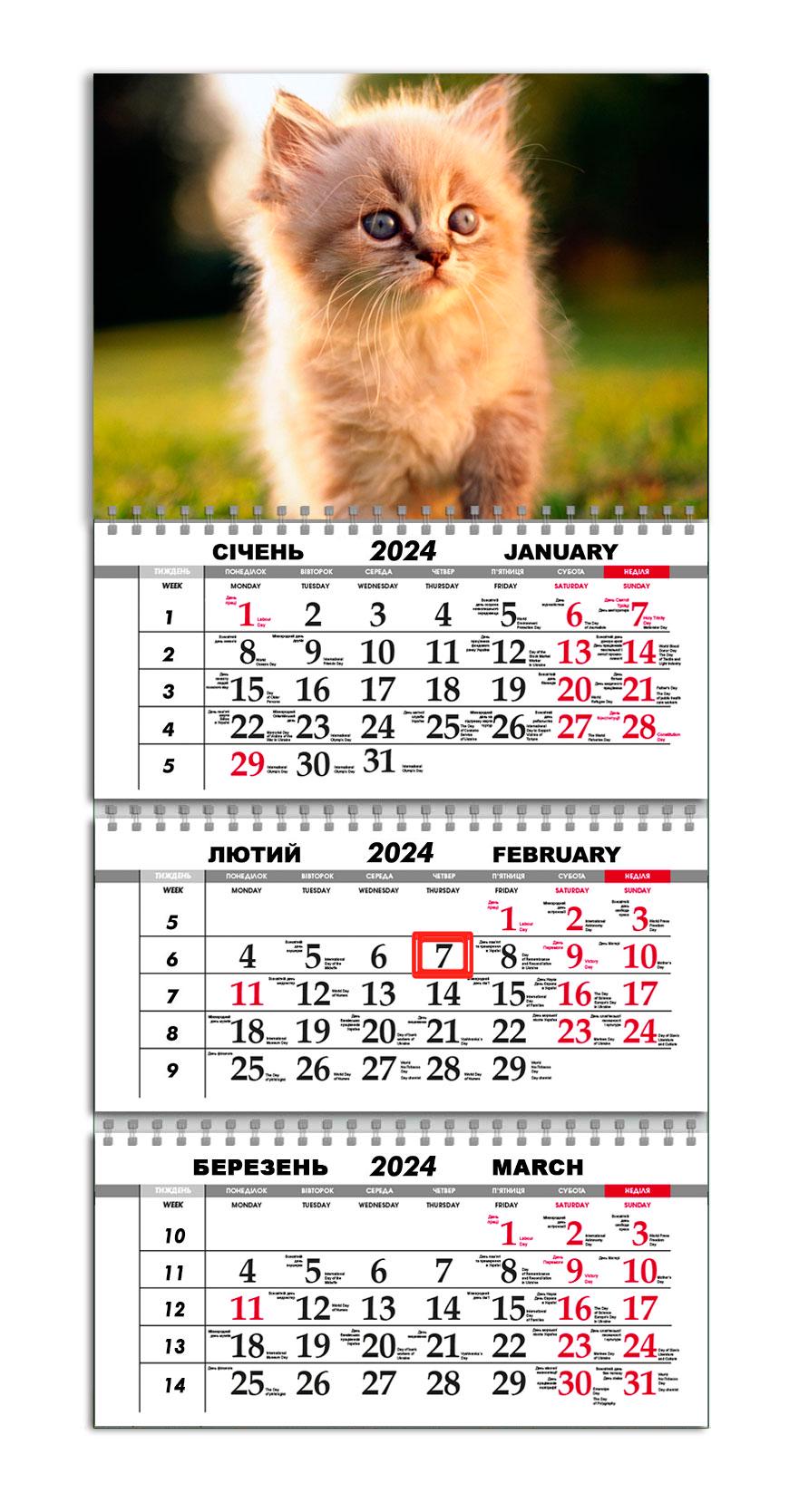 Календарь APRIORI квартальный на 2024 год Кот 30х61 см (UA972)