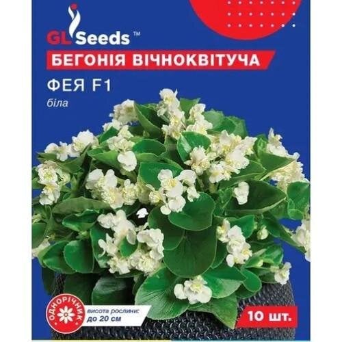 Семена цветов Бегония Фея белая F1 GL Seeds 10 шт. (GL-1660)