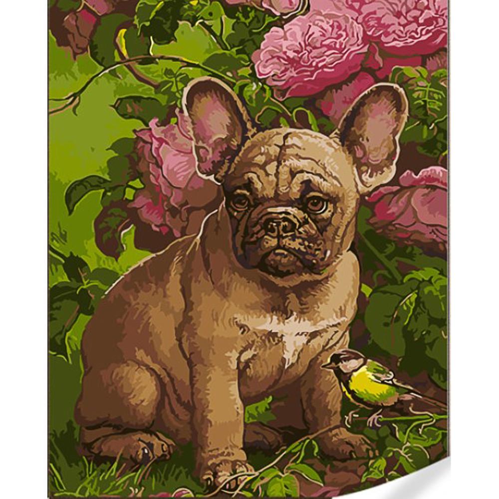 Картина по номерам Strateg Французский бульдог на цветном фоне 40х50 (GS1595)