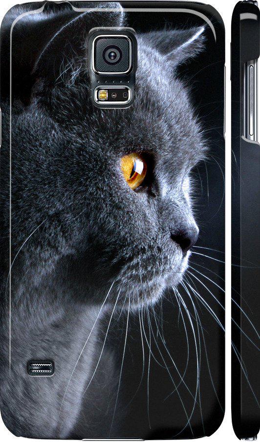 Чехол на Samsung Galaxy S5 Duos SM G900FD Красивый кот (3038c-62-42517)