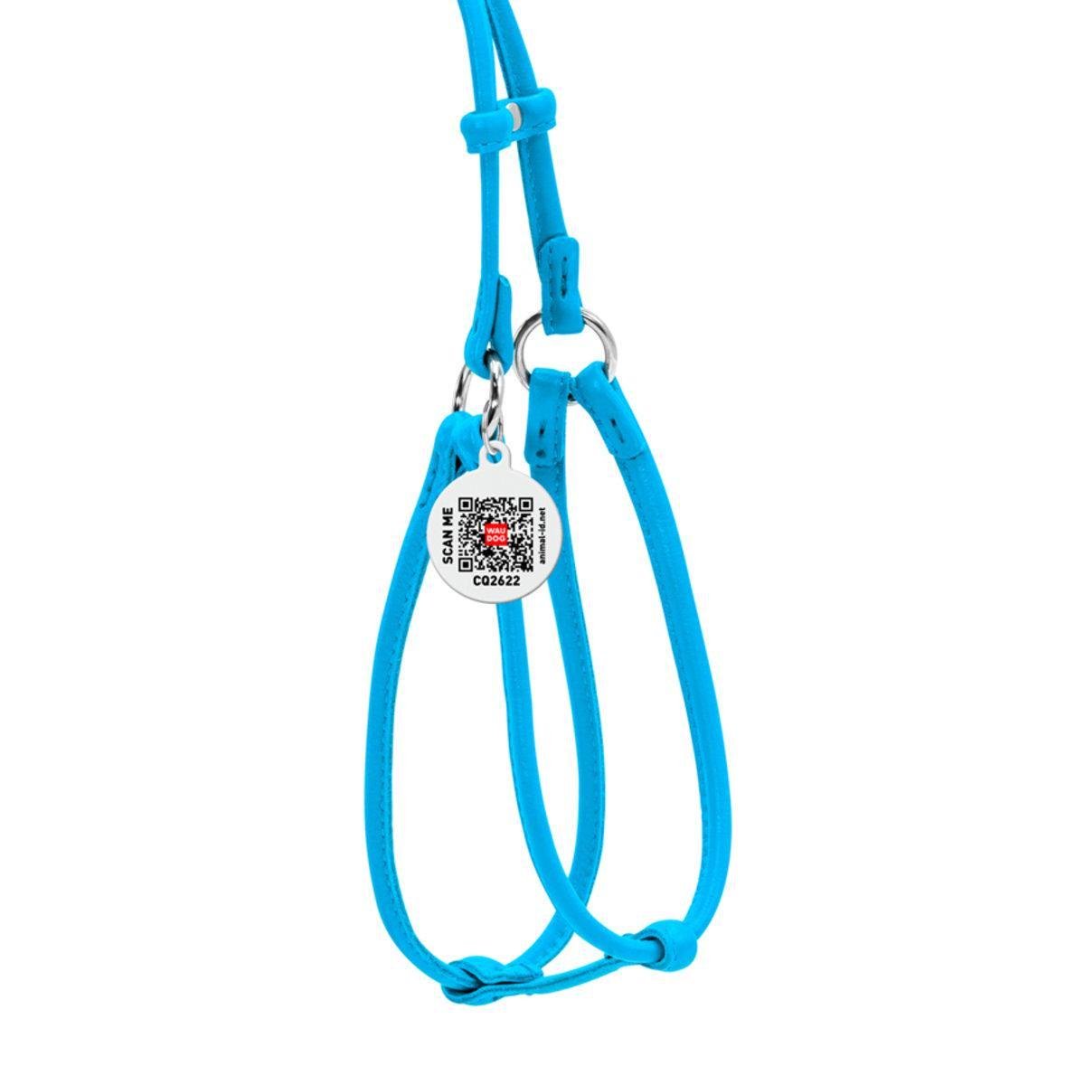 Шлея с поводком для собак Waudog Glamour с QR паспортом/круглая/кожаная 6 мм х 42-60 см х 46-64 см Голубой (34022 Col)