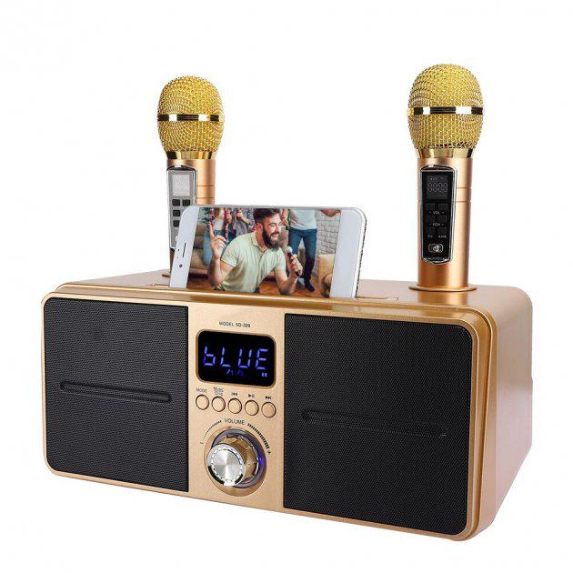 ᐉ Система караоке SDRD SD-309 Bluetooth с колонкой два микрофона ...