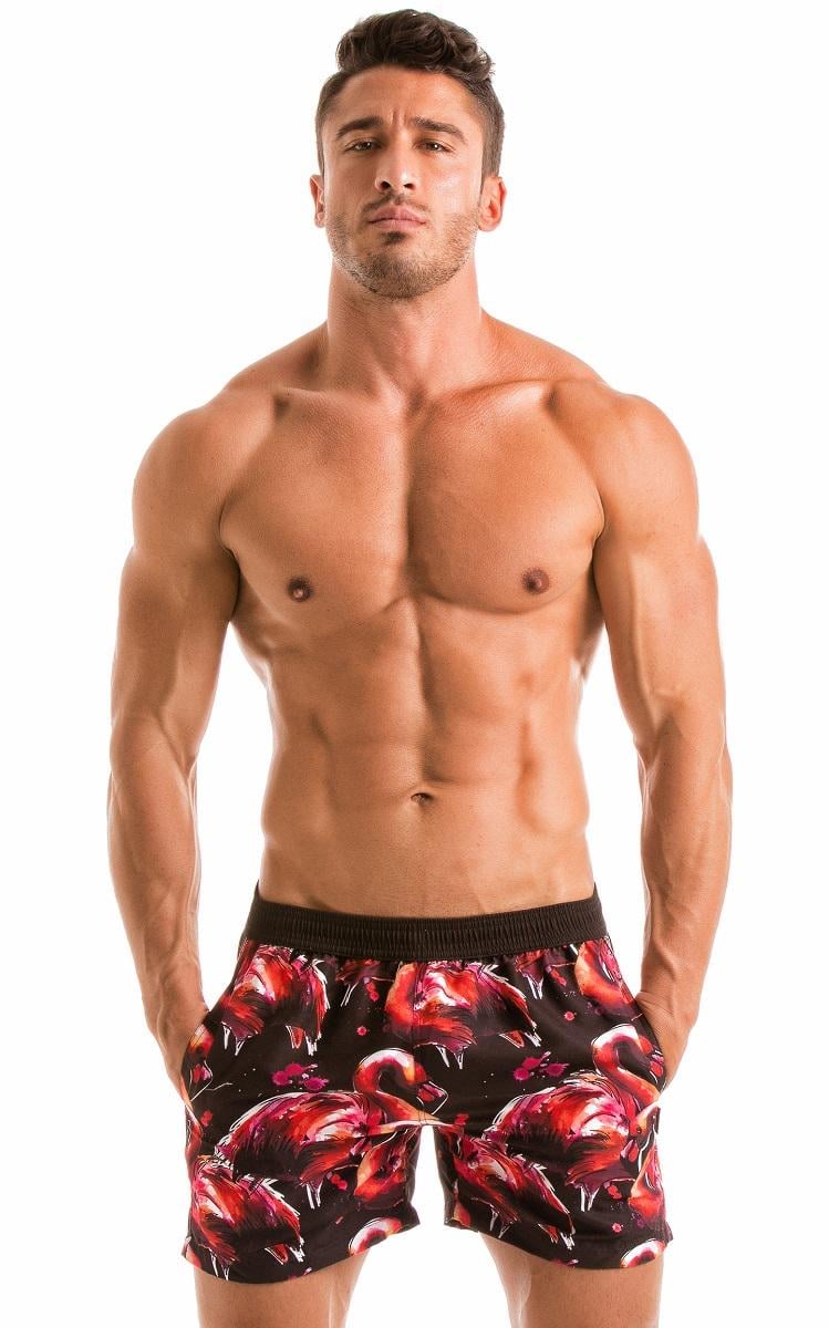 Шорты пляжные GERONIMO 1914p1 L 19141 Принт фламинго (3800205873921)