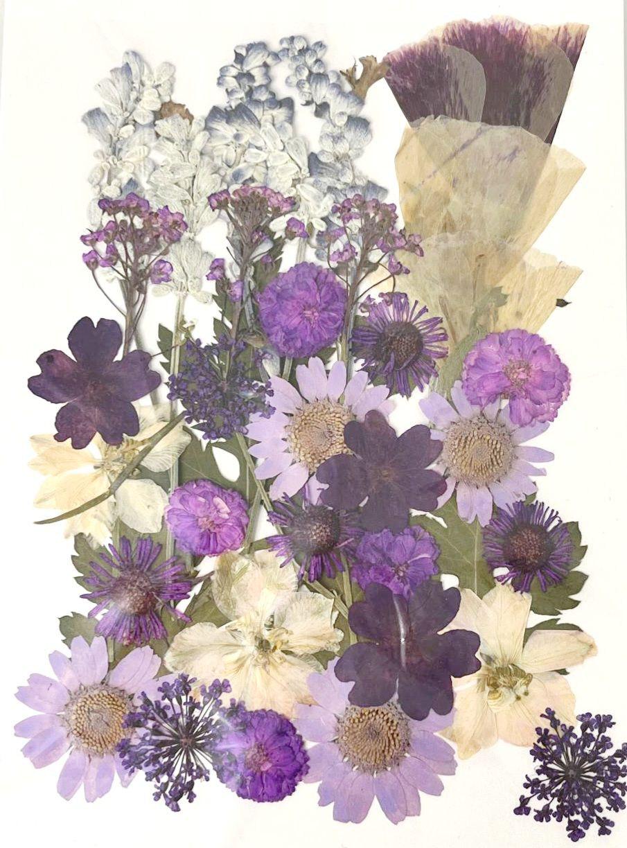 Сухоцвет набор №12 для творчества для ювелирных изделий из эпоксидной смолы 40 шт. (С-032/12) Сухоцвет набор №12 для творчества для ювелирных изделий из эпоксидной смолы 40 шт. (С-032/12)