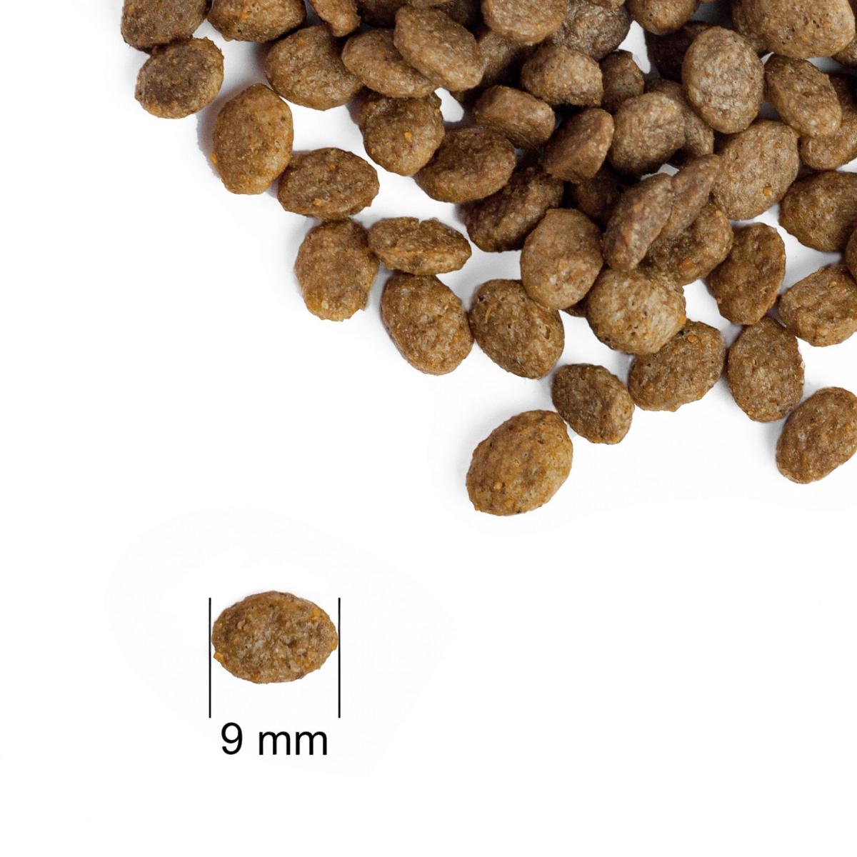 Корм для собак малих порід та цуценят Practik Simple Свіжий лосось 10 кг (10MSS881) - фото 3