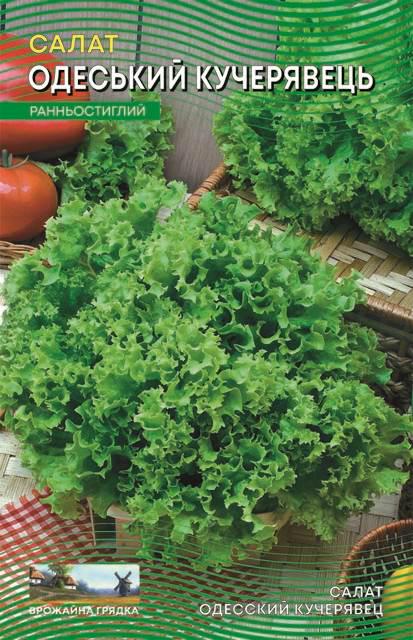 Салат Одесский кудрявый 1 г (285) Салат Одесский кудрявый 1 г (285)