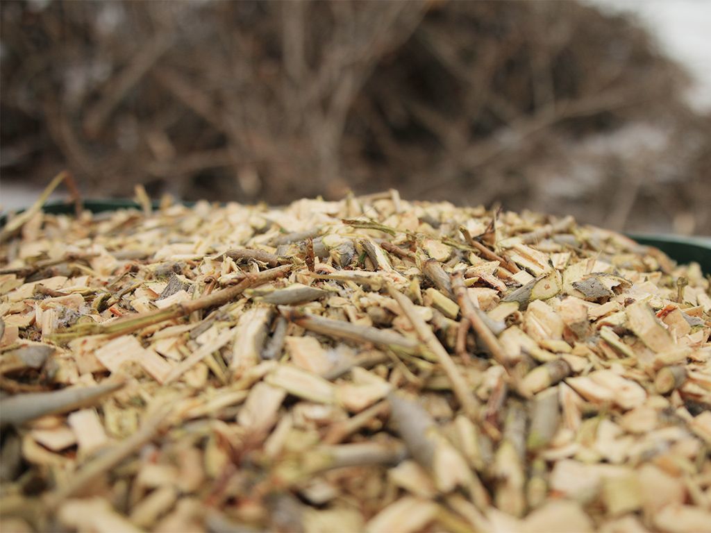 Подрібнювач гілок Arpal на щепу з бензиновим двигуном - фото 15 Подрібнювач гілок Arpal на щепу з бензиновим двигуном - фото 15