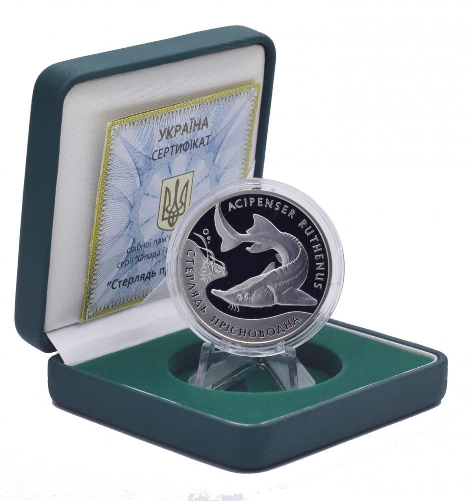 Коллекционная монета Украина 10 гривен 2012 Серебро Proof Рыба-Стерлядь пресноводная (М14565)