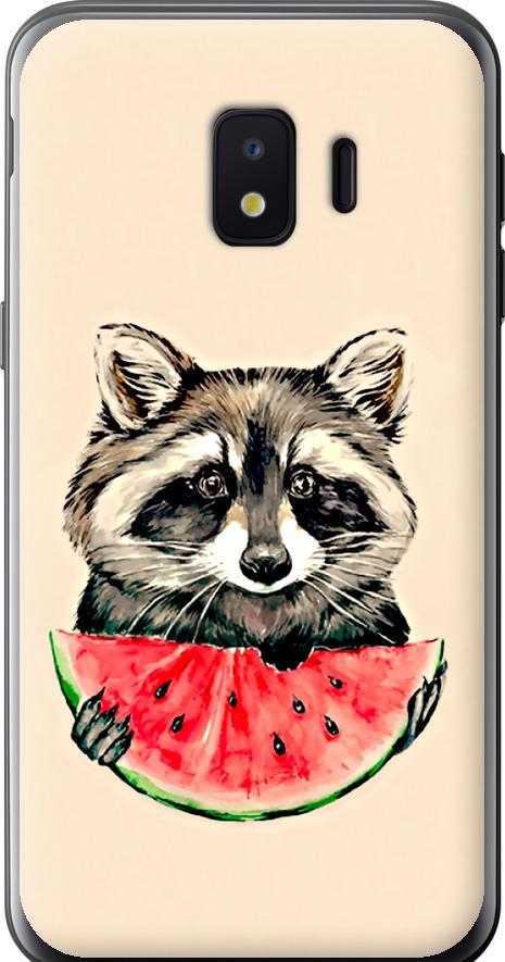 Чехол на Samsung Galaxy J2 Core Енотик с арбузом (4605u-1565-42517)
