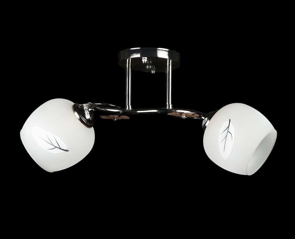 Люстра с плафонами Splendid Ray (L9716/2 GM)