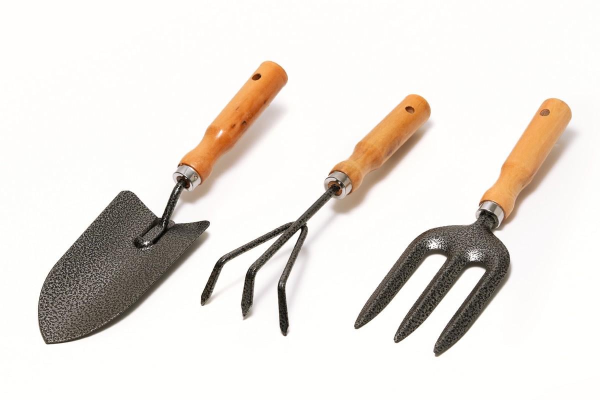 Набор садовых инструментов MasterTool Garden WOOD 3 шт. (14-6099)