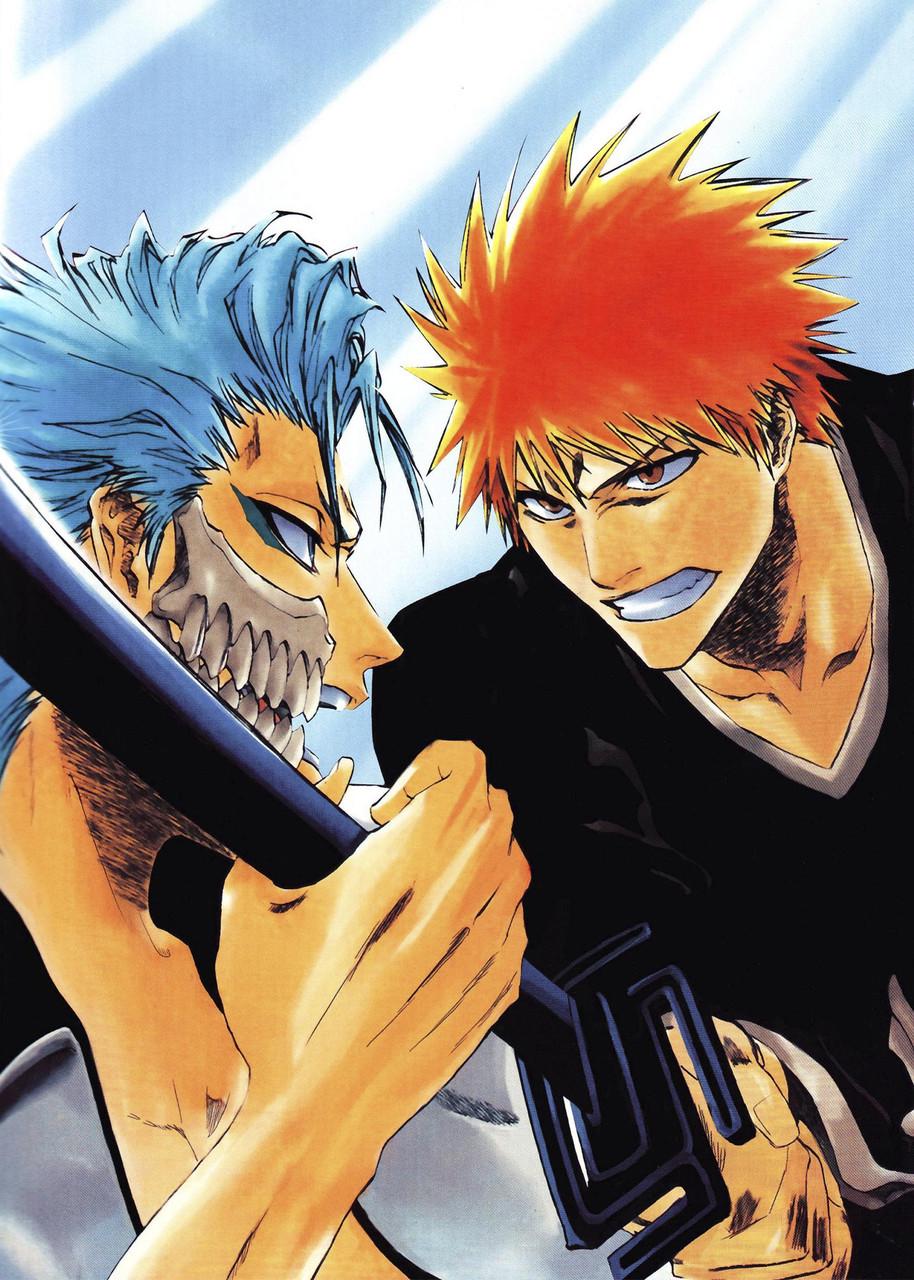 Картина GeekLand Bleach Ичиго и Гриммджоу (BA 09.005)