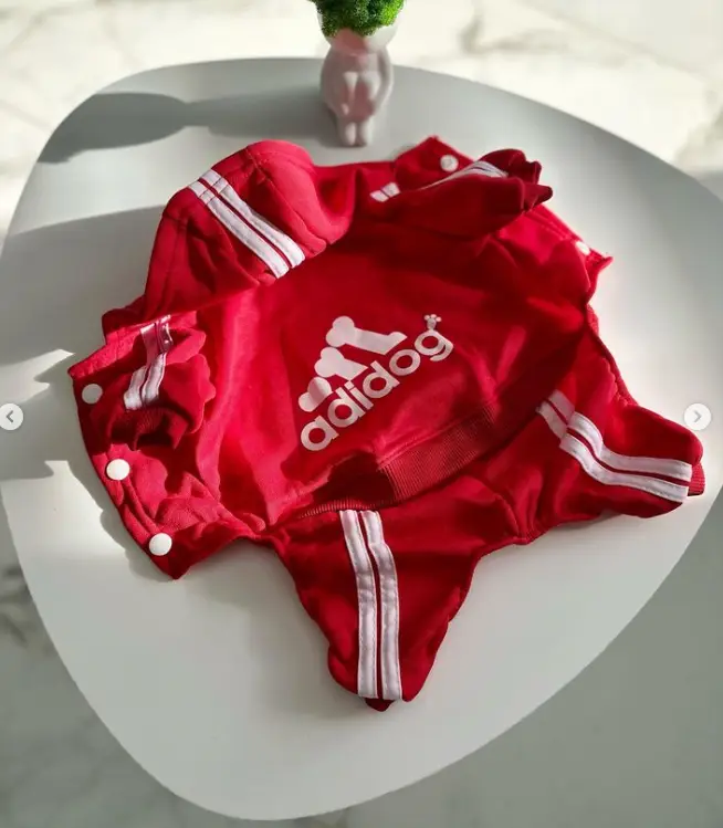 Костюм спортивный для собак с надписью "Adidog" L Красный (1912712900) - фото 2 Костюм спортивный для собак с надписью "Adidog" L Красный (1912712900) - фото 2