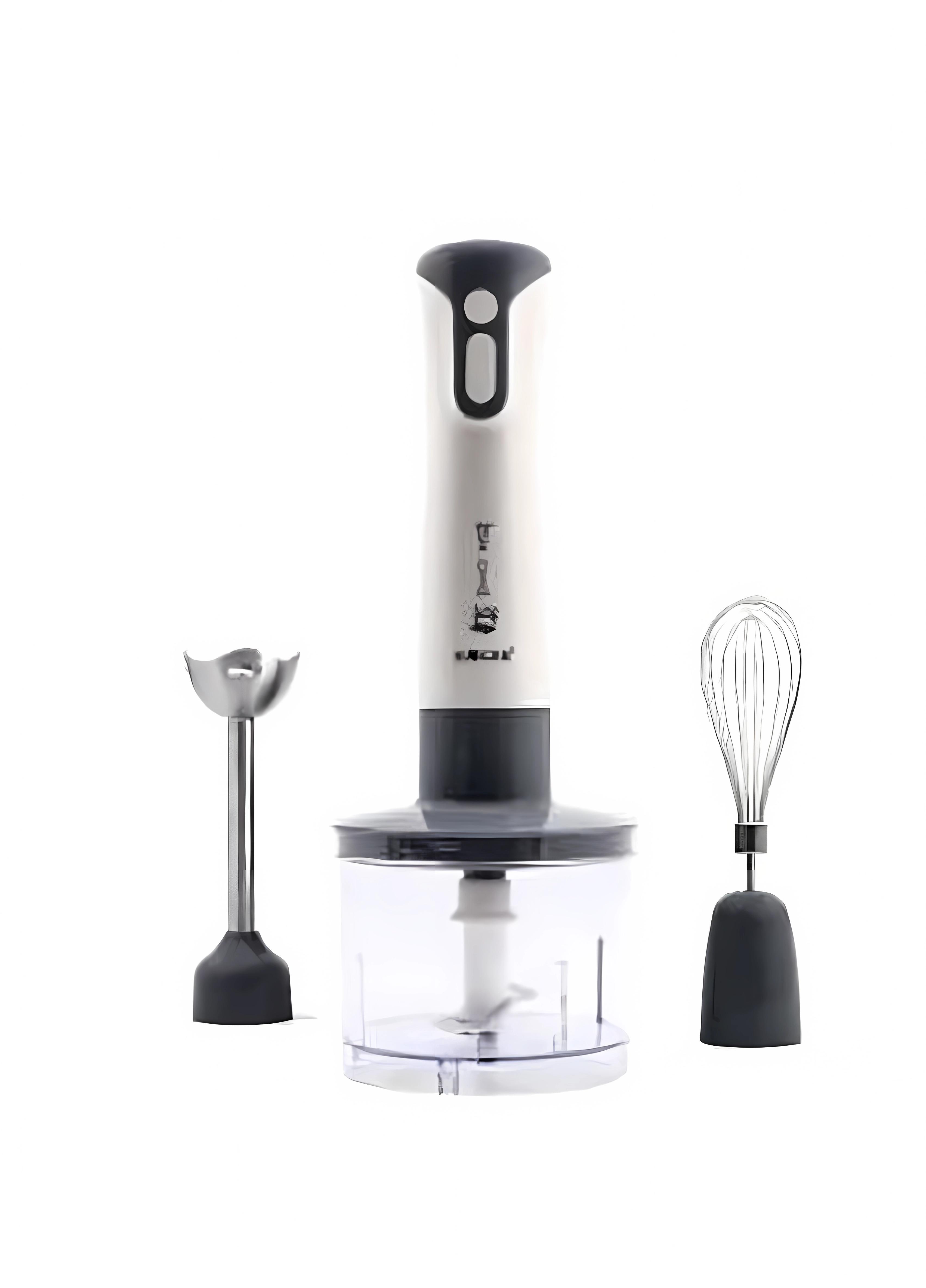 Блендер погружной 4 в 1 RAF R.293 мощность 600 Вт три насадки Серый (663536U)