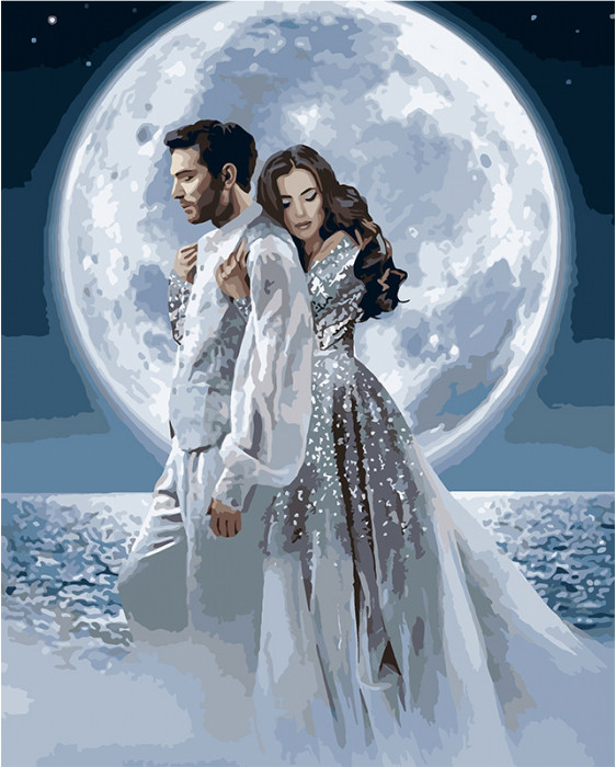 Картина по номерам Под лунным сиянием 40х50 см (KHO4552)