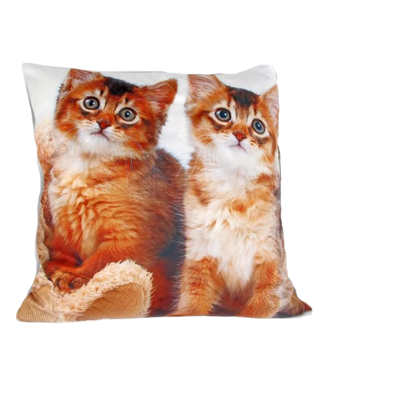 Подушка декоративная на молнии Carmani Котята 45х45 см (021-1114) Подушка декоративная на молнии Carmani Котята 45х45 см (021-1114)
