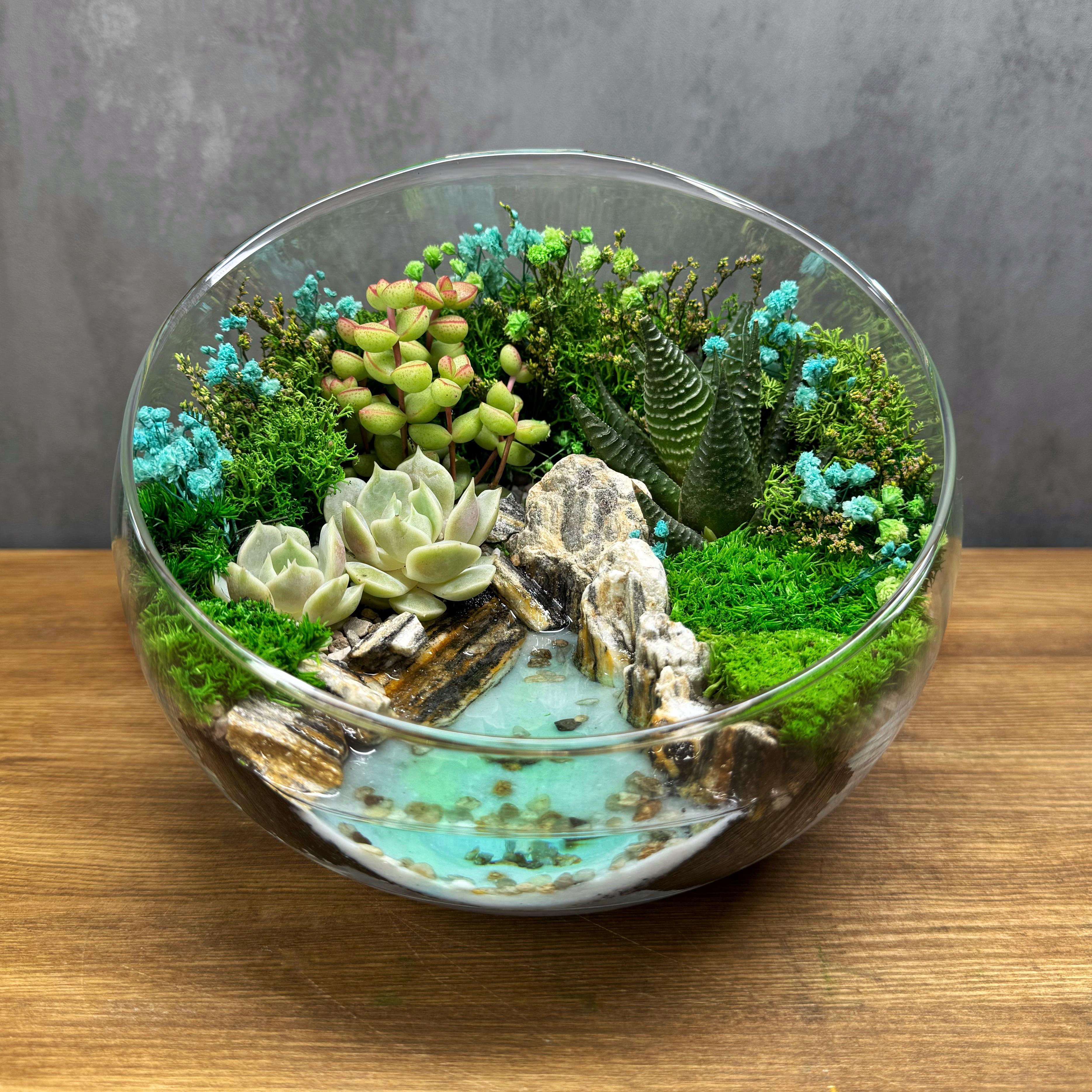 Флорариум с суккулентами и водоемом Возле озера D16,5 см
