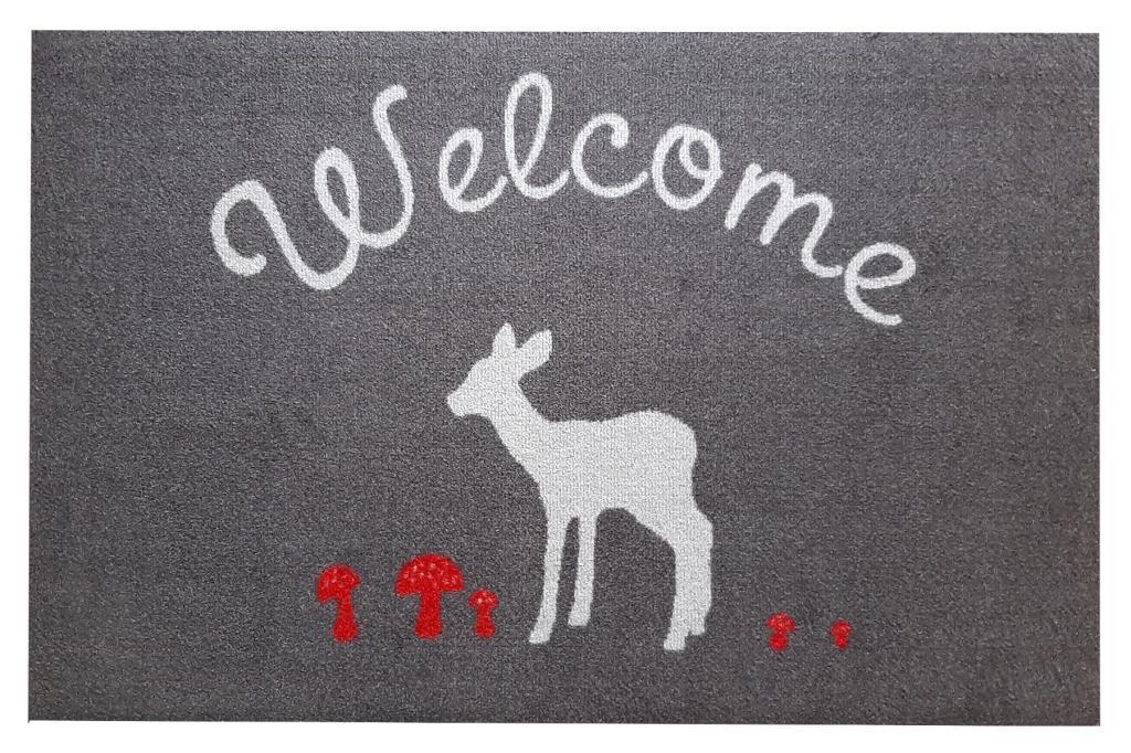 Килим Ola Welcome 60х110 см