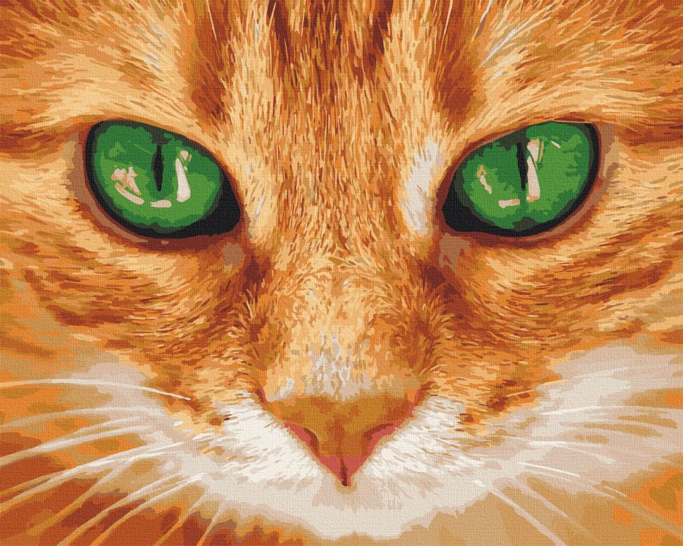 Картина по номерам Art Craft Зелёные глаза 40x50 см (11620-AC)