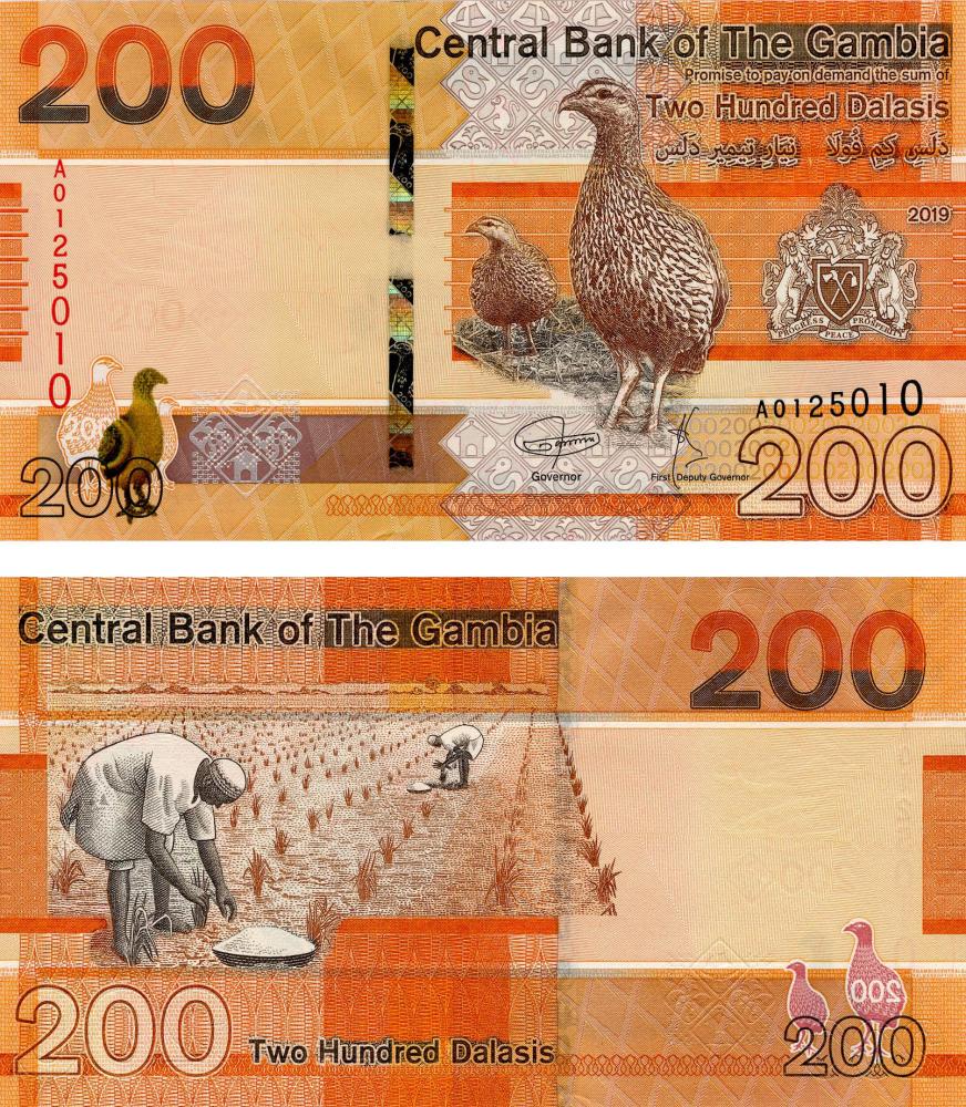 Коллекционная банкнота Гамбия 200 даласи 2019 UNC Птица P42 (Б12378)