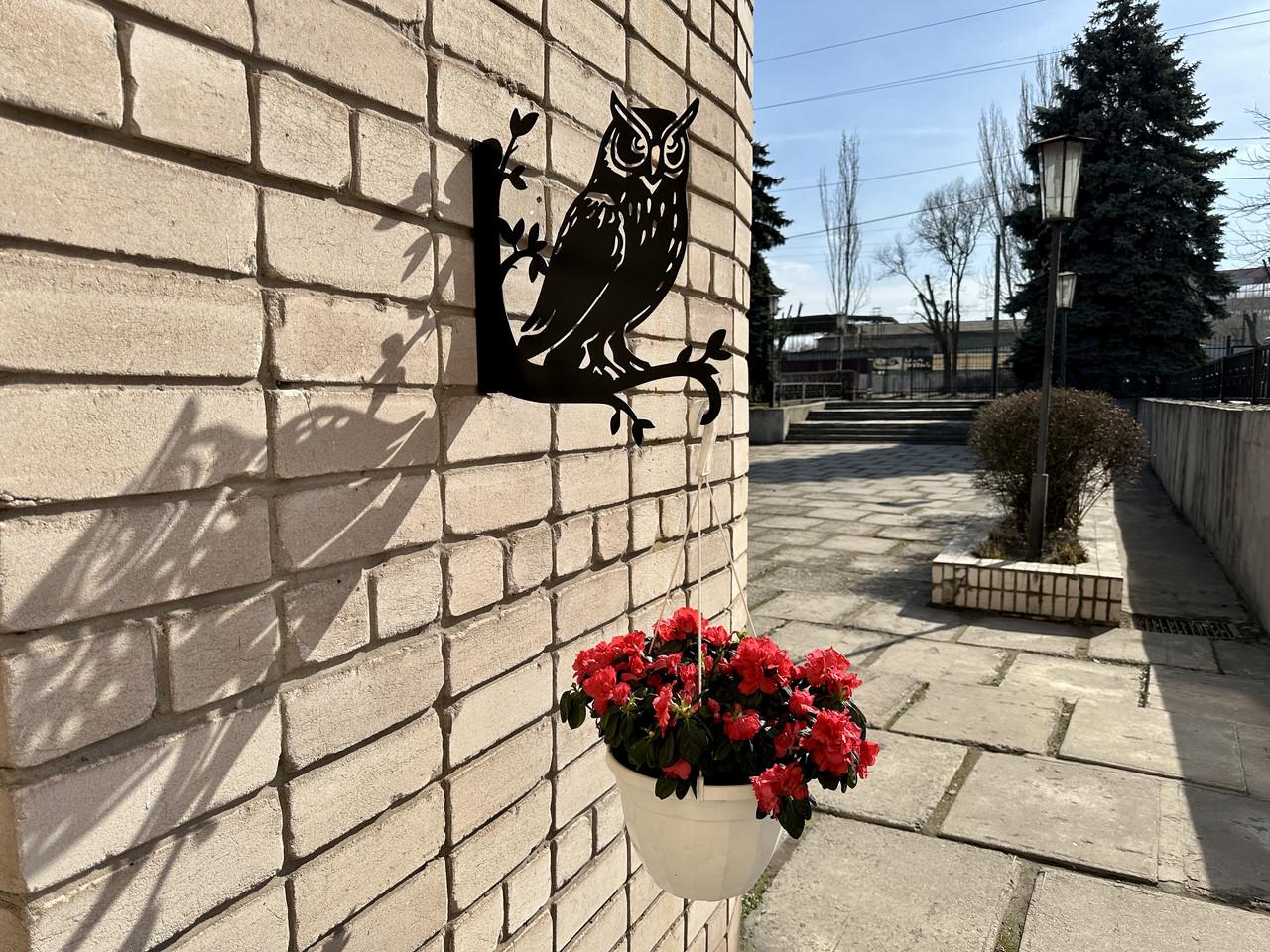 Кронштейн Сыч для кашпо с цветами метал Черный (М019) - фото 7