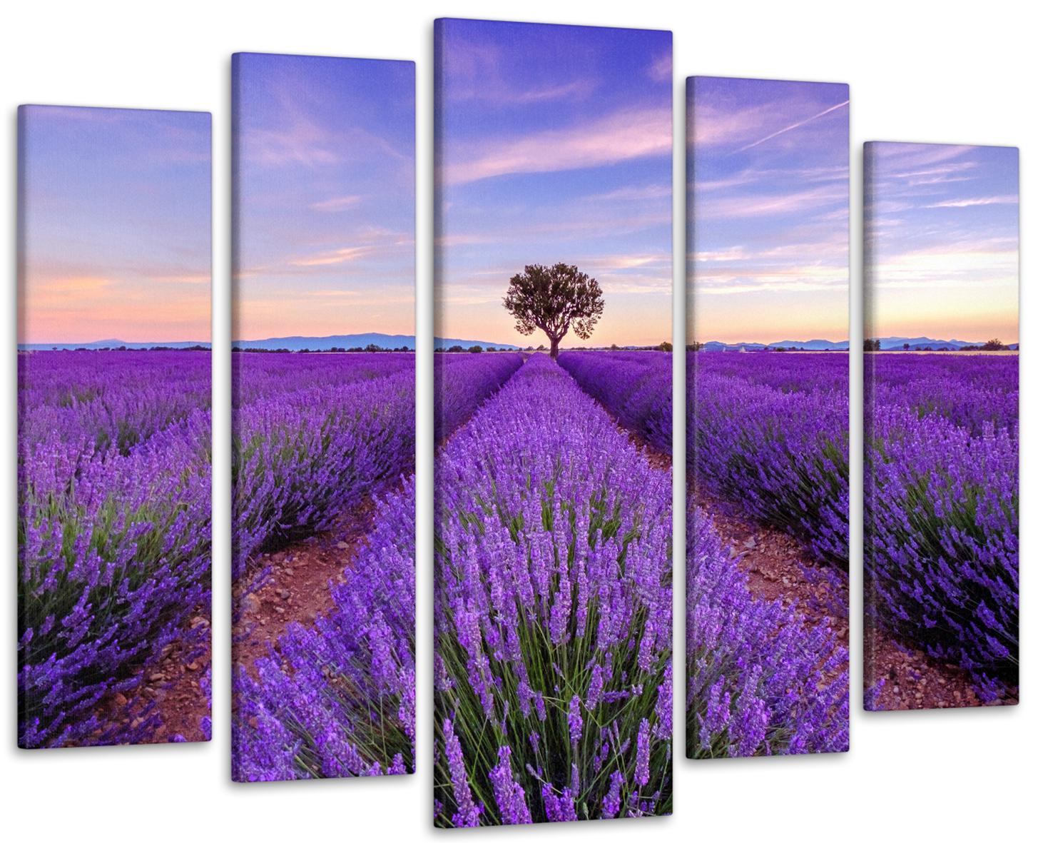 Картина модульная Поле лаванды 90х132 см (Art-327_5)