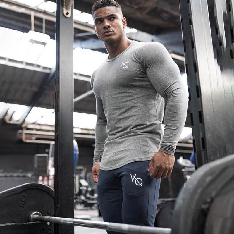 Реглан Alpha M Серый (6616)