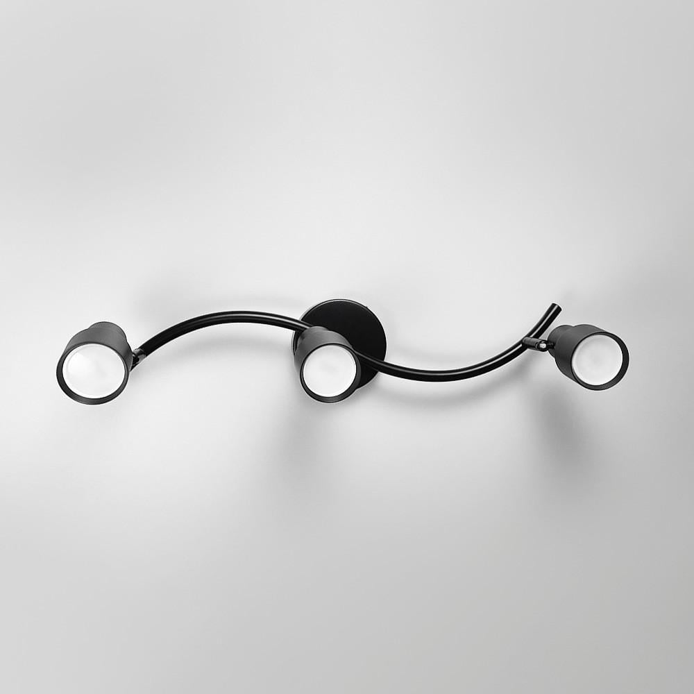 Светильник с 3-мя регулируемыми плафонами Черный (52039/3 BK)