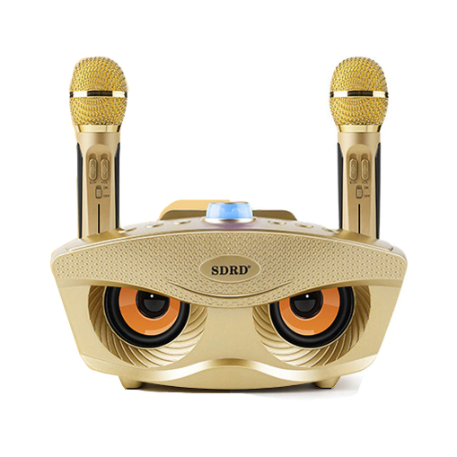 Караоке система SDRD SD-306 на два микрофона с колонкой Золотой (111301)
