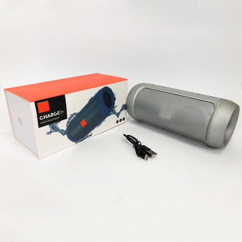 Колонка Charge J2 Silver (tf5134) - фото 13