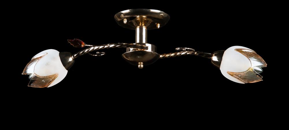 Люстра с плафонами Ray L82002/2 FGD (IR005468) Люстра с плафонами Ray L82002/2 FGD (IR005468)