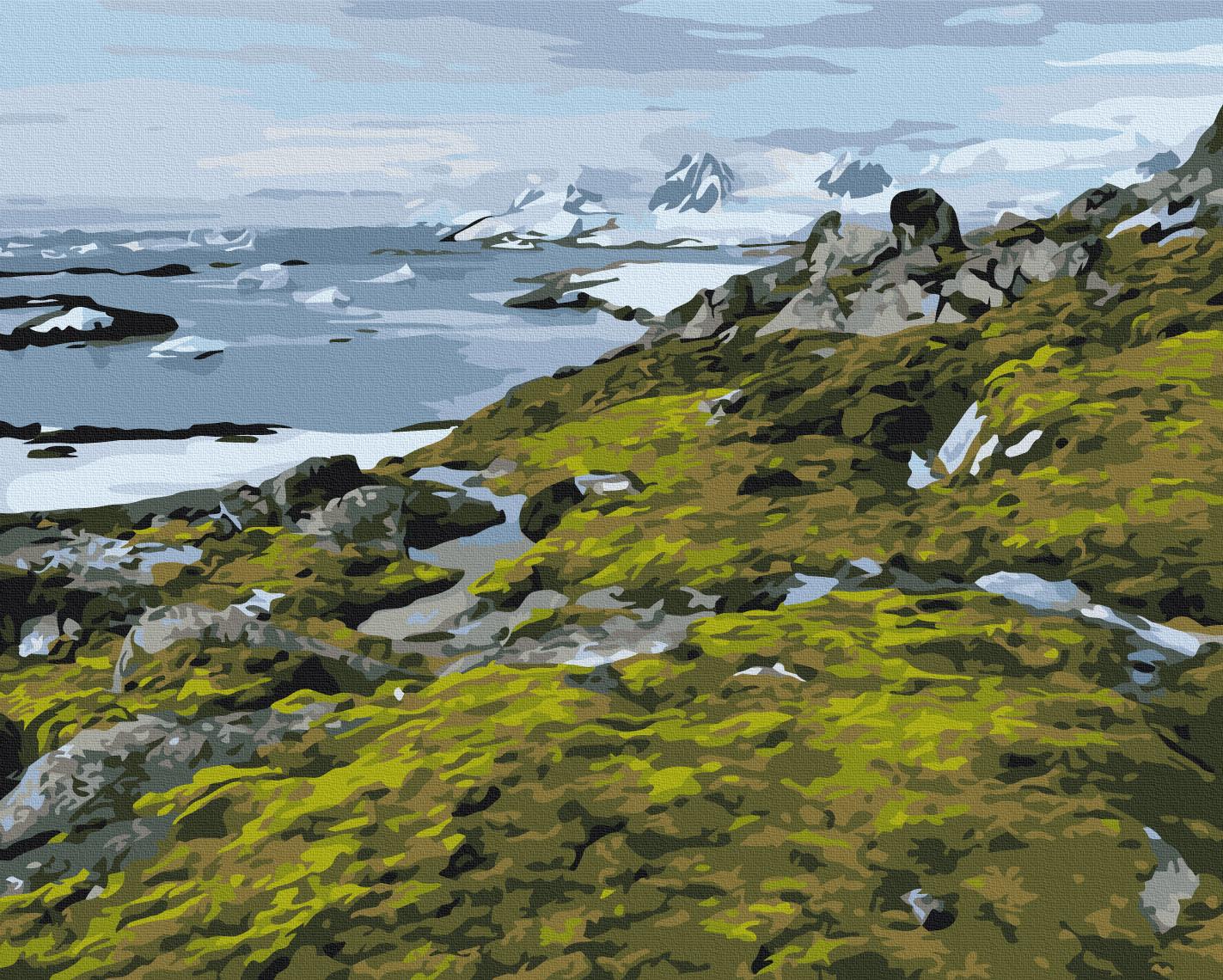 Картина по номерам Brushme Зеленая Антарктика 40x50 см (BS54265) Картина по номерам Brushme Зеленая Антарктика 40x50 см (BS54265)