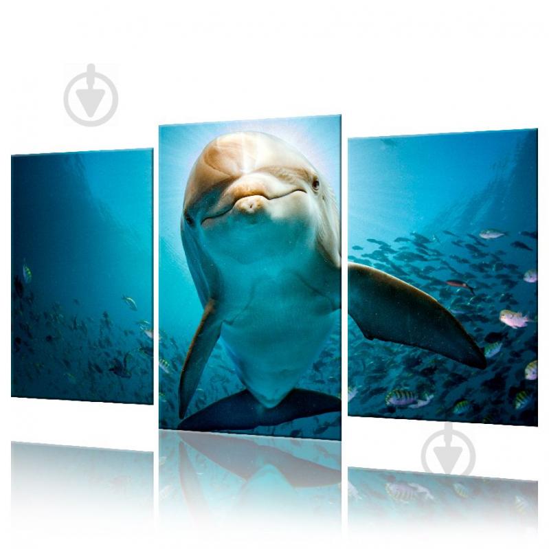 Модульная картина Дельфин ADJ0019 размер 45 х 70 см