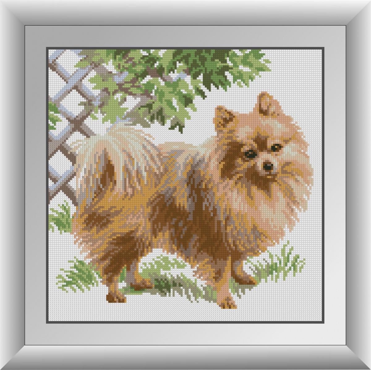 Алмазная мозаика Dream Art Шпиц 30893 в коробке (1309825649)