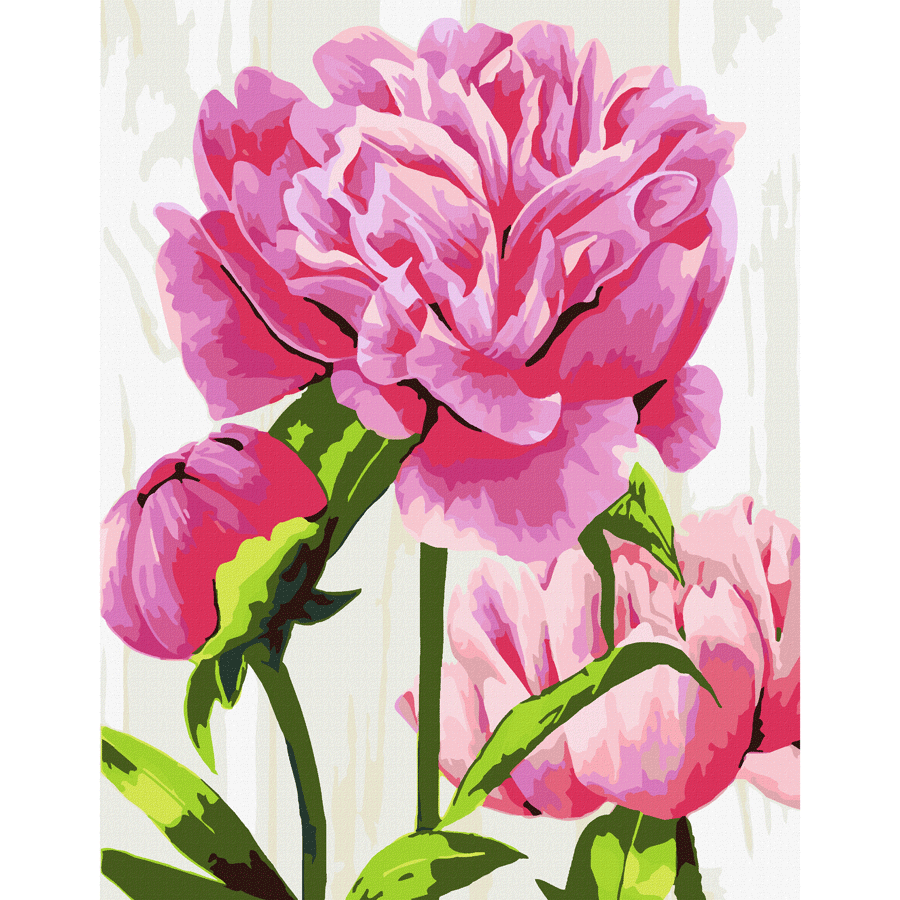 Картина за номерами Rosa Start Яскраві півонії 35×45 см (2786817991) Картина за номерами Rosa Start Яскраві півонії 35×45 см (2786817991)