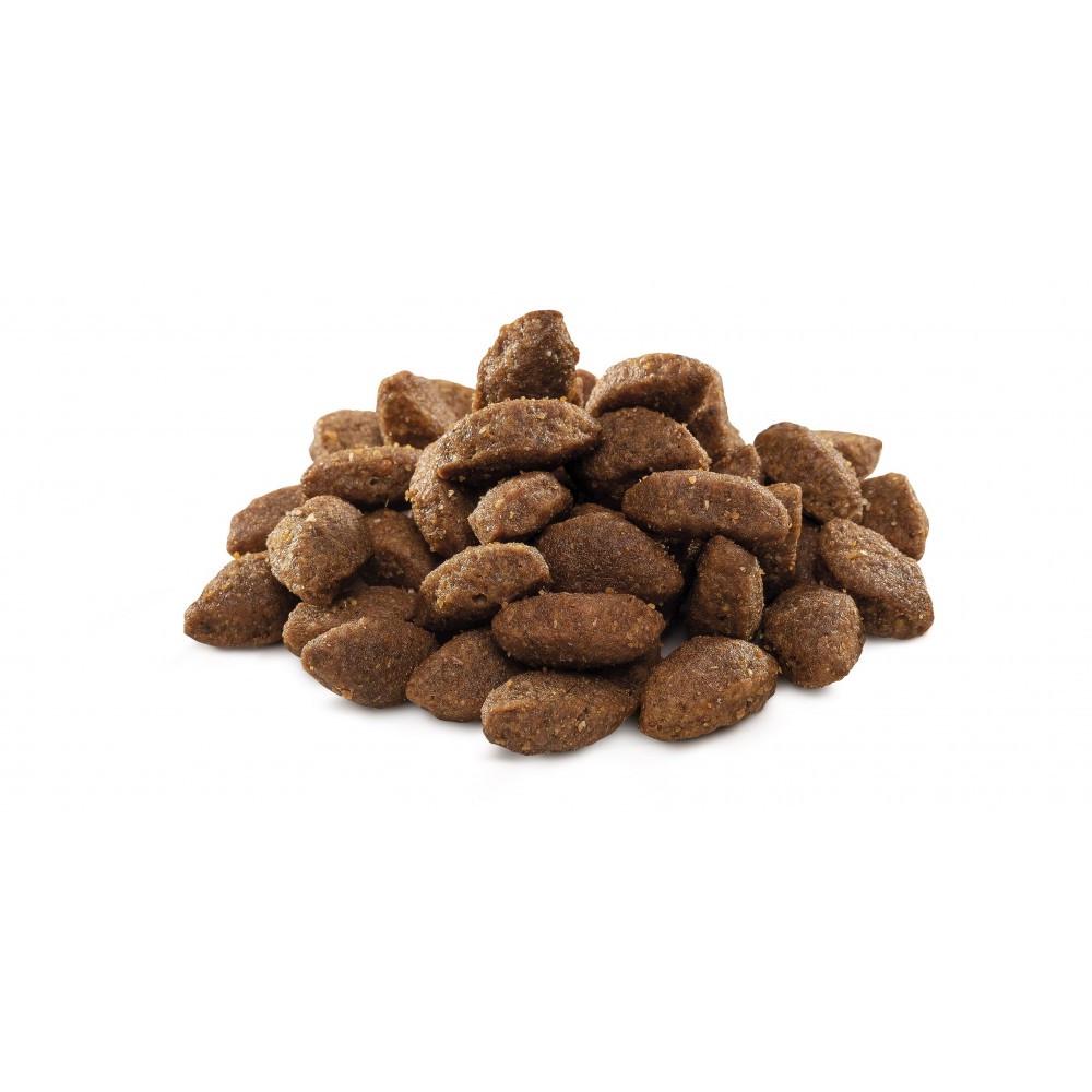 Сухий корм для активних собак всіх порід Brit Premium Sport курка 15 кг (170848/6673) - фото 2