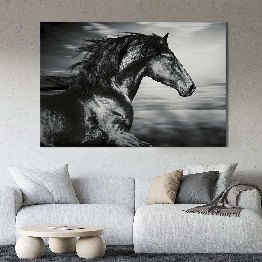Картина на холсте Вороной конь 51x34 см (175-1)