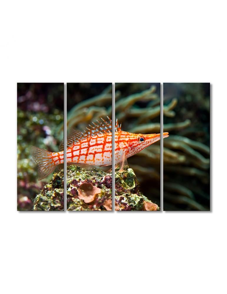 Картина модульная Рыба кораллового рифа 4 модуля 70x105 см