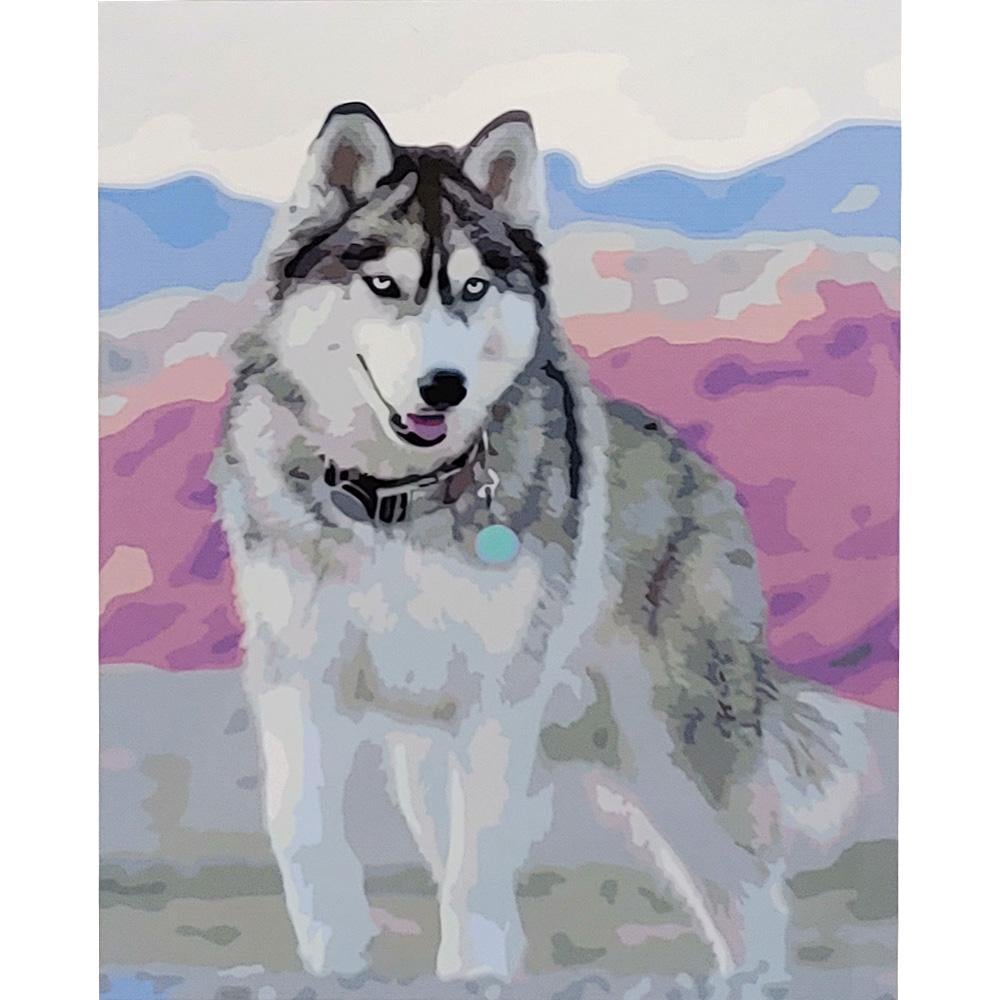 Картина по номерам Strateg Премиум Красавчик хаски 40x50 см (SY6716)