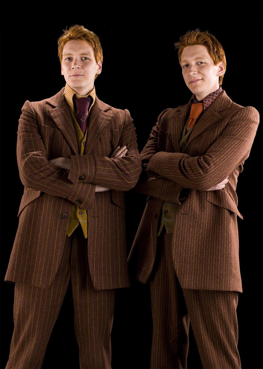 Картина GeekLand Harry Potter близнецы (HP 09.051)