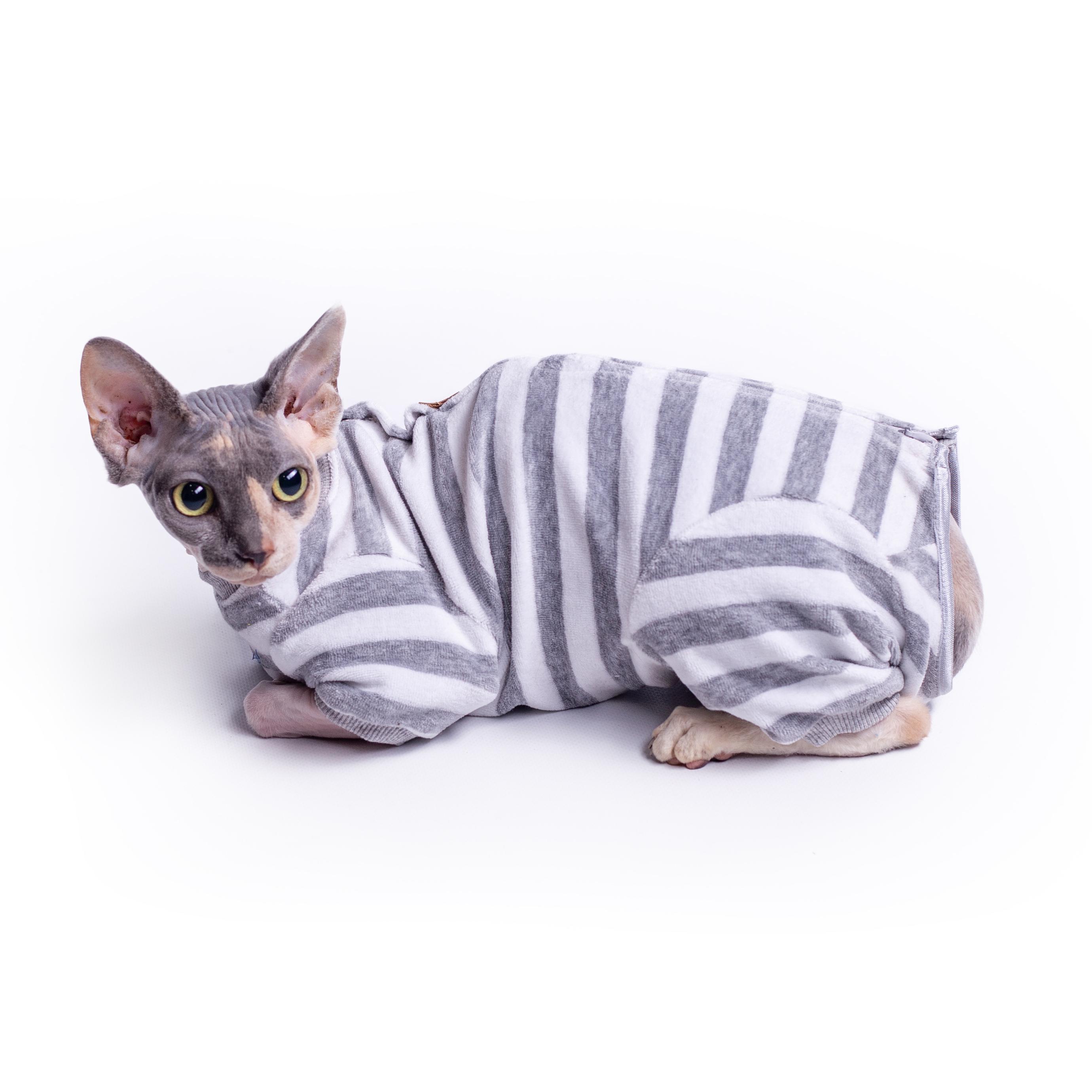 Боди для кошек Style Pets Sprinter велюровый XXL Серый (455XXL) - фото 2