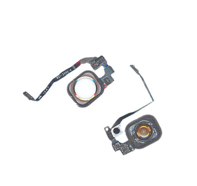 Кнопка Home в сборе с механизмом и шлейфом iPhone 5S Золотой