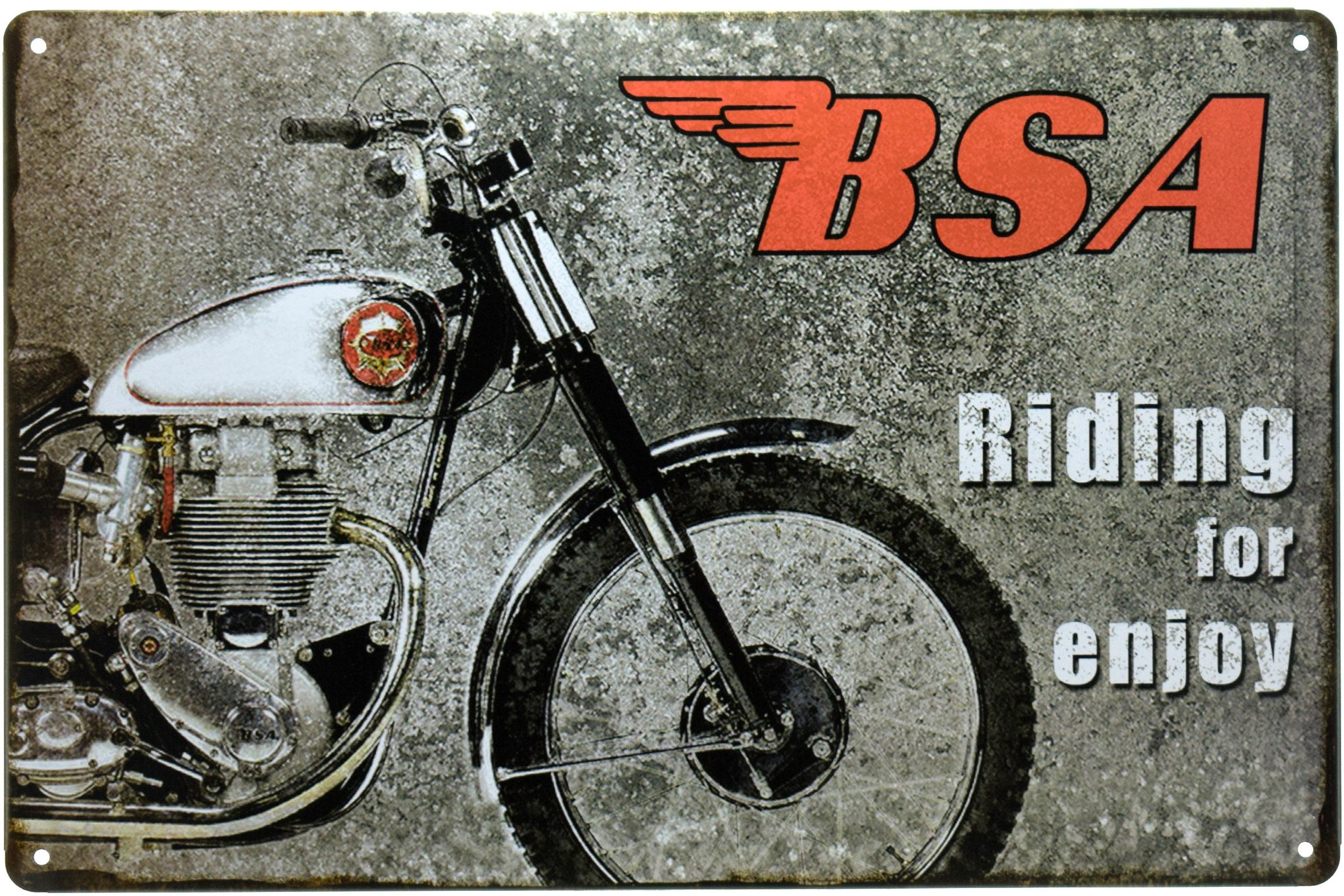 Табличка металева BSA Gold Star Їзда Для Задоволення 20x30 см