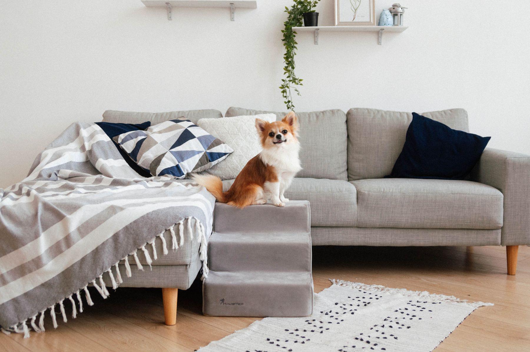 Сходинки для Собак Haustier Silver 3х-рівневі 54х40х36см (R1-1-029) - фото 2 Сходинки для Собак Haustier Silver 3х-рівневі 54х40х36см (R1-1-029) - фото 2