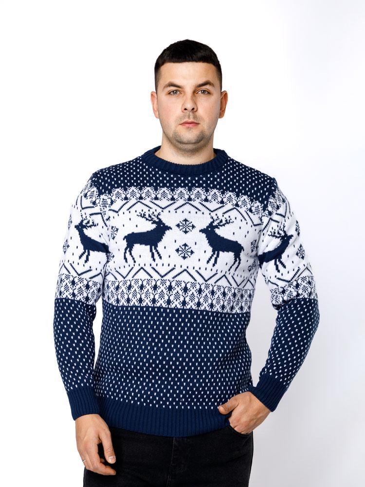 Джемпер мужской ЦБ-00233206 р. 46 Синий (SKT000940928)