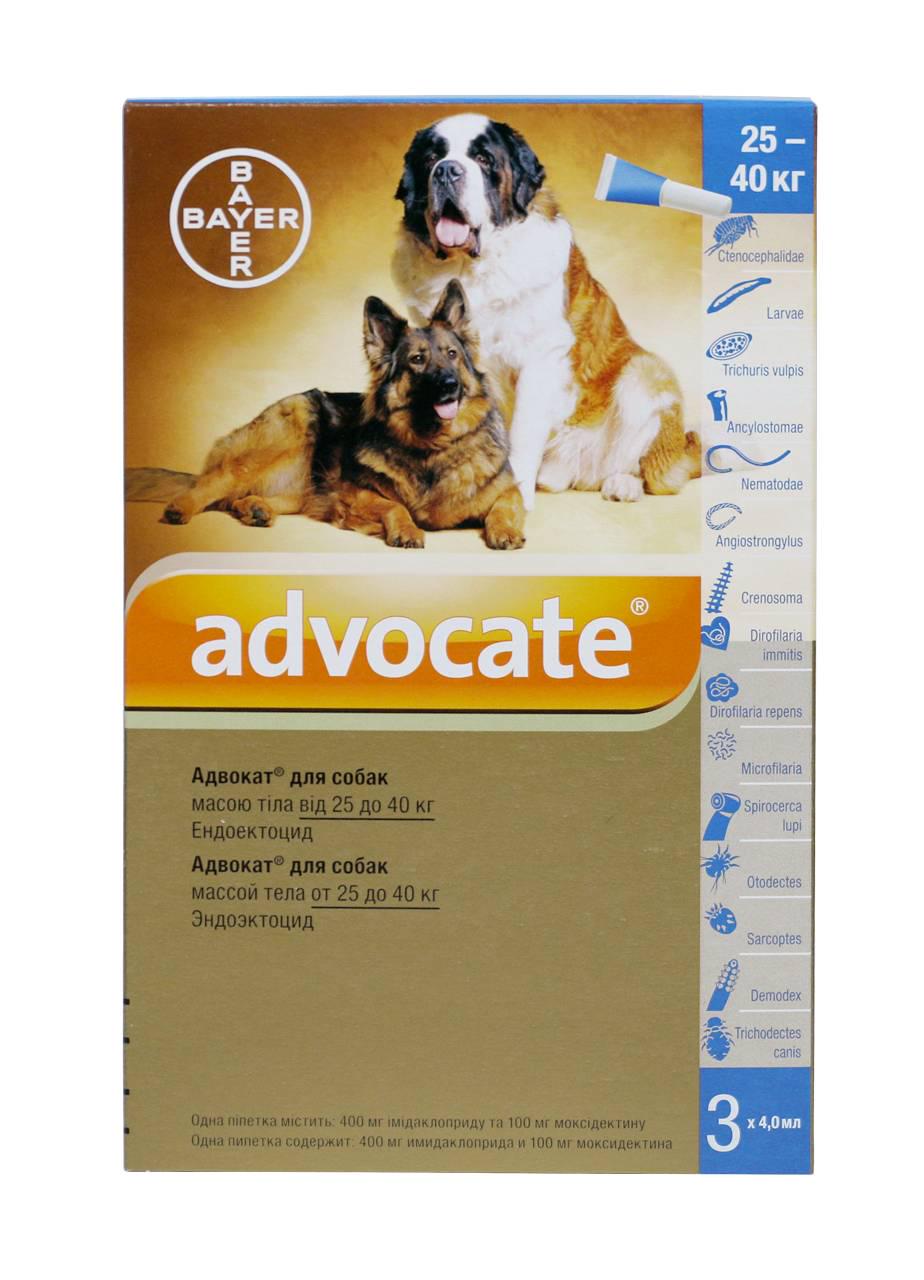 Краплі Bayer Адвокат від заражень ендо та екто паразитами для собак від 25 кг 3 піпетки (4007221037422/4007221017554) - фото 6